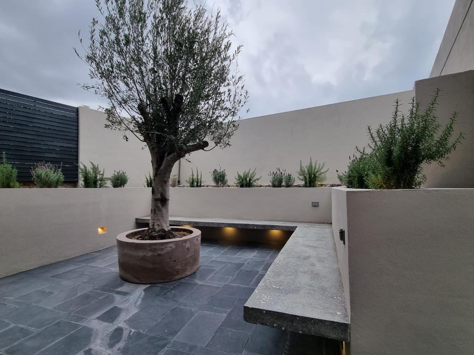 Hotel Casa Origenes San Miguel de Allende Zewnętrze zdjęcie