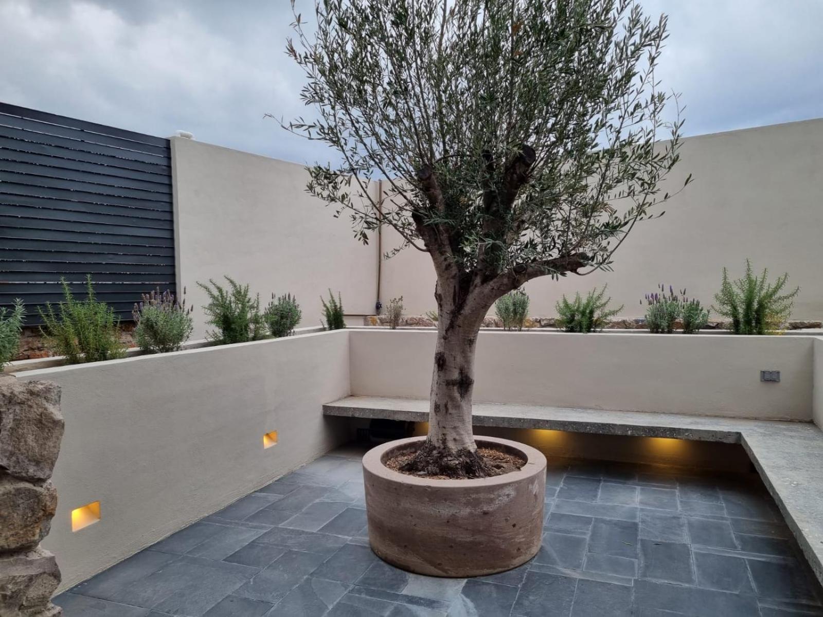 Hotel Casa Origenes San Miguel de Allende Zewnętrze zdjęcie